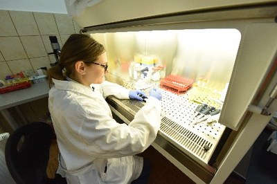 Photonic investigation methods based on lab-on-a-chip systems are developed at the biophotonics infrastructure from CETAL-PhIL.